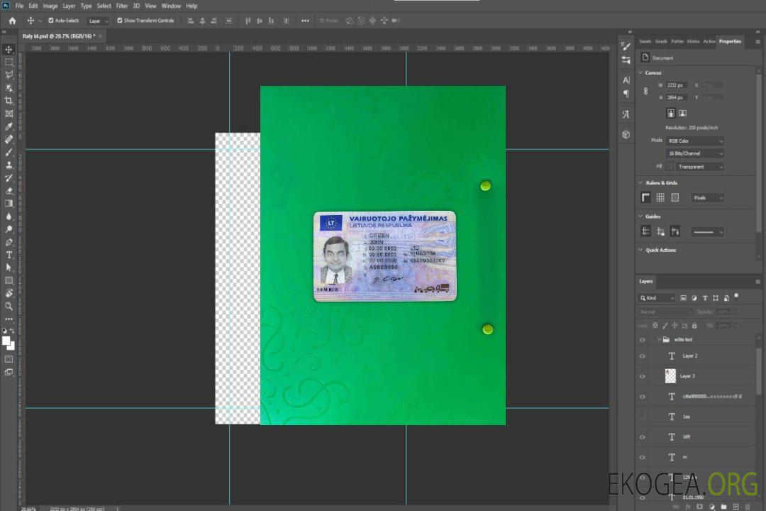 Litva (Lituanie) DL photolook AVANT template